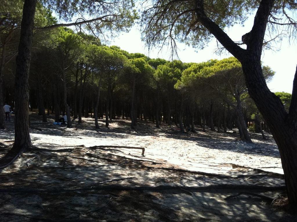 Case Vacanze Budoni Beach Ruang foto